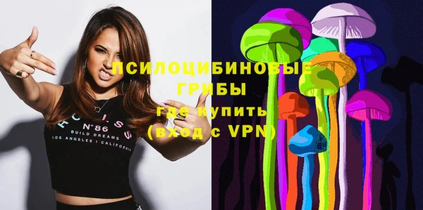 мет Щучье