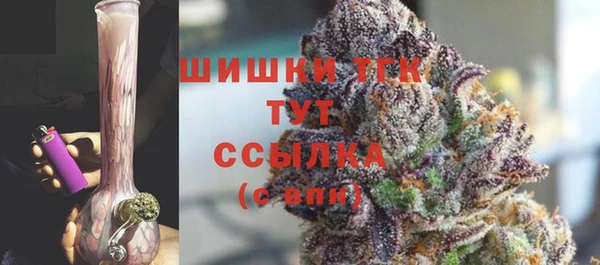 СК Шали